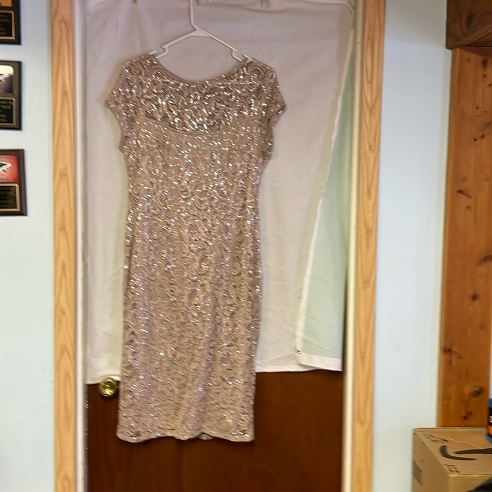 Marina lace sequin dress
